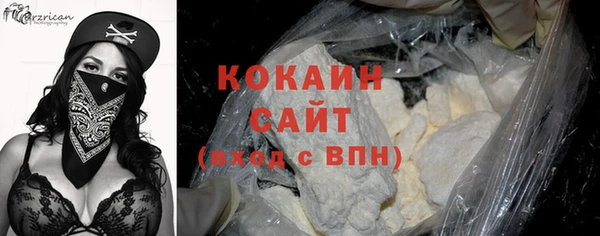 ПСИЛОЦИБИНОВЫЕ ГРИБЫ Горно-Алтайск