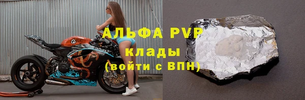 ПСИЛОЦИБИНОВЫЕ ГРИБЫ Горно-Алтайск