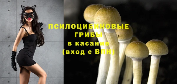 ПСИЛОЦИБИНОВЫЕ ГРИБЫ Горно-Алтайск