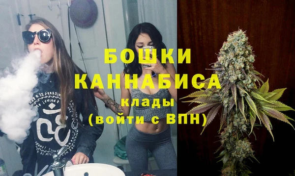 ПСИЛОЦИБИНОВЫЕ ГРИБЫ Горно-Алтайск