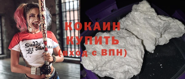 ПСИЛОЦИБИНОВЫЕ ГРИБЫ Горно-Алтайск