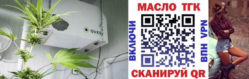 мориарти Telegram Нахабино ТГК жижа