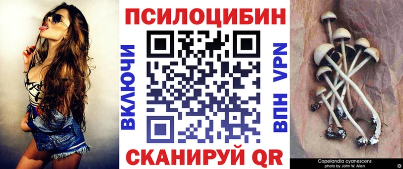Псилоцибиновые грибы Psilocybe  где можно купить наркотик  Нахабино 