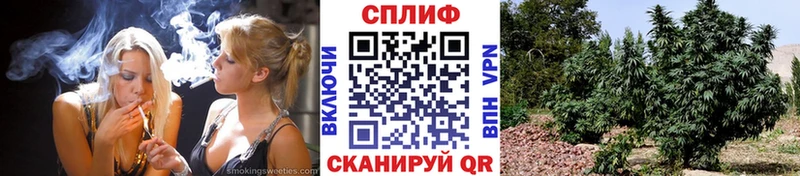 МАРИХУАНА планчик Нахабино