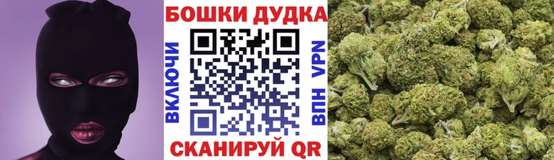 Шишки марихуана сатива  Нахабино 
